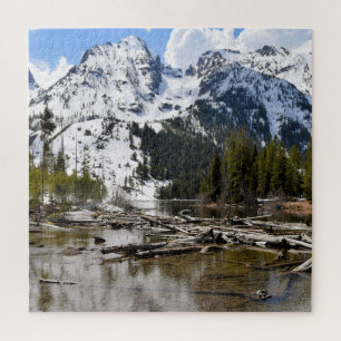Teton Mountain Stream Reflections - 20x20 - 676 pc Legpuzzel