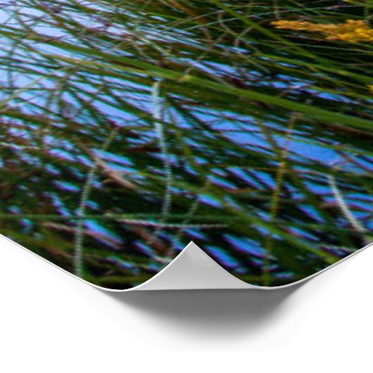 Teton Sunrise Poster (Hoek)