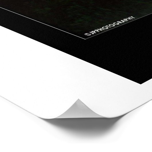 Teton Sunset Poster (Hoek)