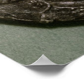 Tetradrachme van Seleucus I King of Syria Poster (Hoek)