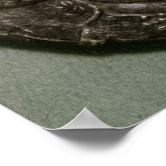 Tetradrachme van Seleucus I King of Syria Poster (Hoek)