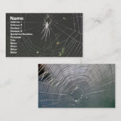 Tetragnathid Orb Weaver Spider Visitekaartje (Voorkant / Achterkant)