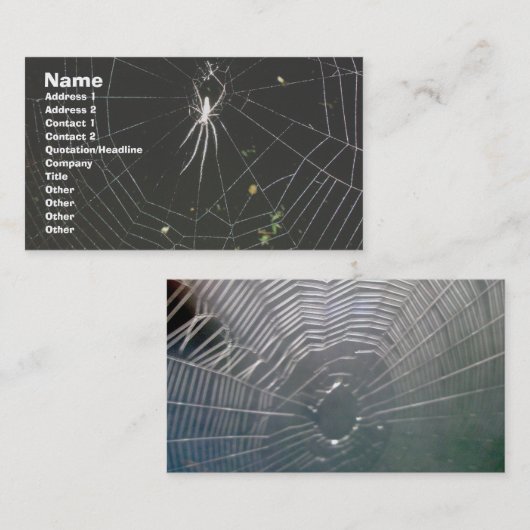 Tetragnathid Orb Weaver Spider Visitekaartje (Voorkant / Achterkant)