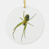 Tetragnathid Spider Christmas Ornament (Voorkant)
