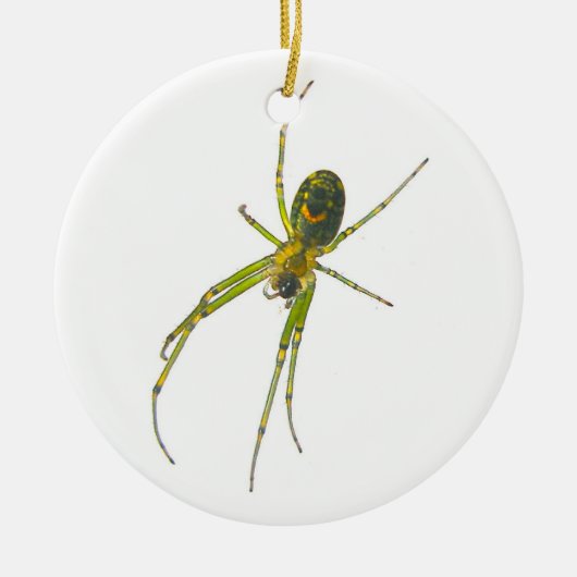 Tetragnathid Spider Christmas Ornament (Voorkant)