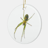 Tetragnathid Spider Christmas Ornament (Links)