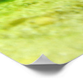 Tetraodon miurus poster (Hoek)