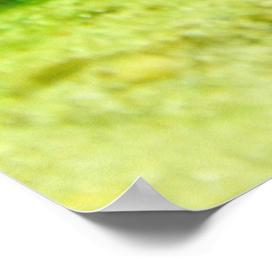 Tetraodon miurus poster (Hoek)