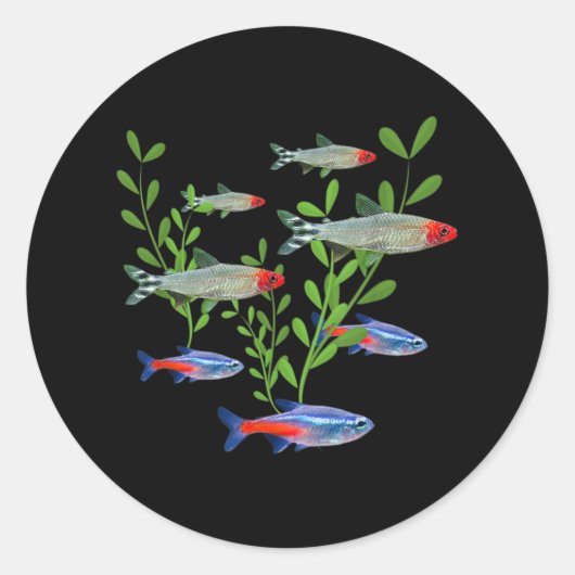 Tetras Aquarium Neon Tetras Rummy Nose Tetras Fish Ronde Sticker (Voorkant)