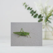 Tettigonia viridissima briefkaart (Staand voorkant)