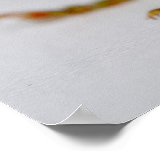 Tettigonia viridissima poster (Hoek)