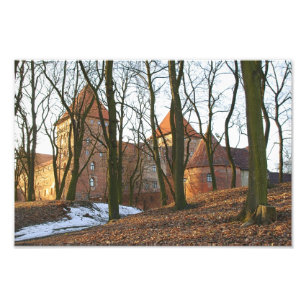 Teutonic Order castle Neidenburg - Foto Afdruk