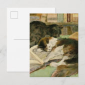 tevreden slaperige pluizige katten aankondigingskaart (Voorkant / Achterkant)