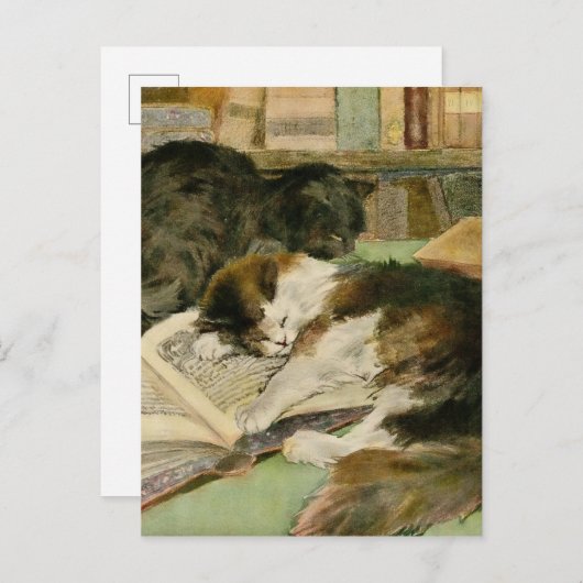 tevreden slaperige pluizige katten aankondigingskaart (Voorkant / Achterkant)