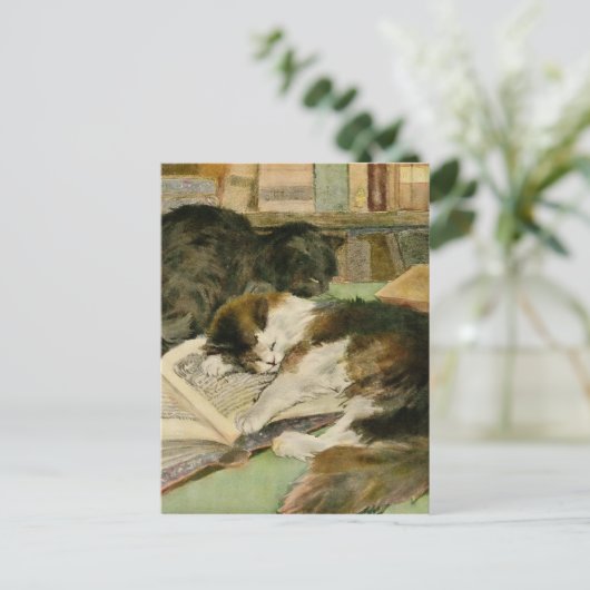  tevreden slaperige pluizige katten aankondigingskaart (Staand voorkant)