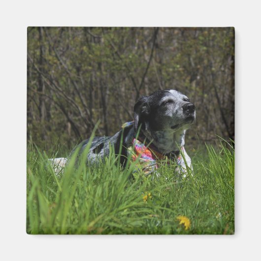 Tevredenheid Magneet (Voorkant)