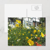 Tewkesbury cottages and Garden Briefkaart (Voorkant / Achterkant)