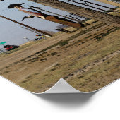 Tex en Texas Sign. Poster (Hoek)