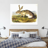 Texaanse hazen, zwarte Jack Rabbit van Audubon Canvas Afdruk (Insitu (Slaapkamer))