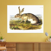 Texaanse hazen, zwarte Jack Rabbit van Audubon Canvas Afdruk (Insitu (Woonkamer))