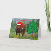 Texaanse Kaart (Voorkant)