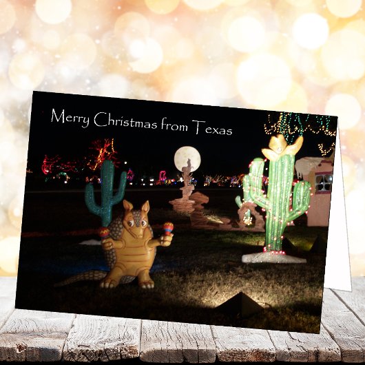 Texaanse kerst Kaart — Armadillo en Cactus