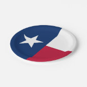 Texaanse staatsvlag papieren bordje (Gekanteld)