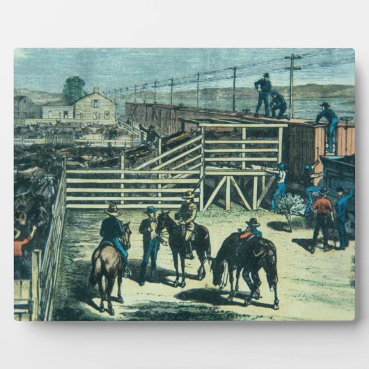 Texaanse vee op een trein in Abilene Fotoplaat (Voorkant)