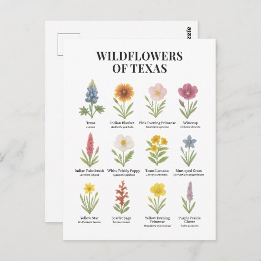 Texaanse wilde bloemen in Waterverf stijl Briefkaart (Voorkant / Achterkant)