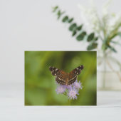 Texan Crescent Butterfly Briefkaart (Staand voorkant)