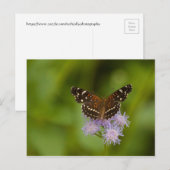 Texan Crescent Butterfly Briefkaart (Voorkant / Achterkant)