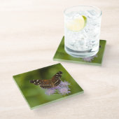 Texan Crescent vlinder Glazen Onderzetter (Schuin)