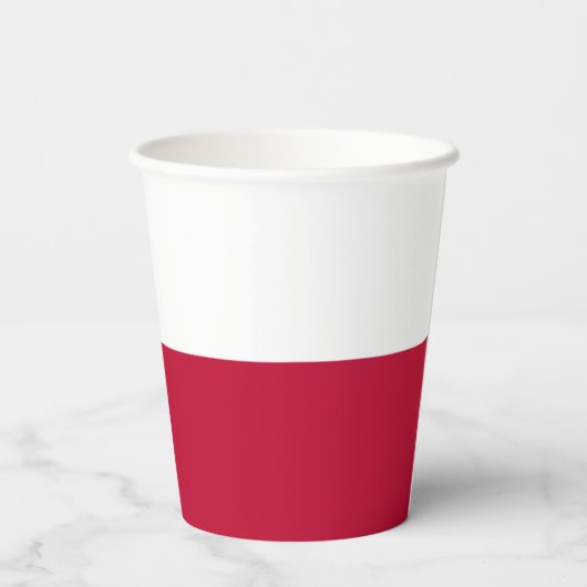 Texan Flag, Flag of Texas Papieren Bekers (Achterkant)