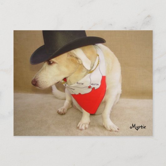 Texan Myrtie Briefkaart (Voorkant)