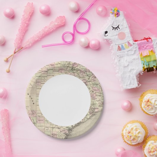 Texas 12 papieren bordje (Feest)