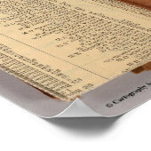 Texas 4 poster (Hoek)