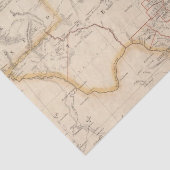 Texas 4 tissuepapier (Detail)