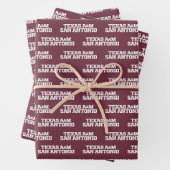 Texas A&M San Antonio Inpakpapier Vel (In situ)