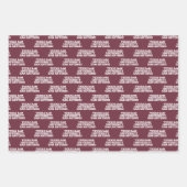 Texas A&M University - San Antonio Inpakpapier Vel (Voorkant 3)