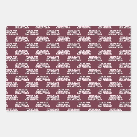 Texas A&M University - San Antonio Inpakpapier Vel (Voorkant 3)