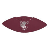 Texas A&M University - San Antonio | Jaguars American Football (Paneel)