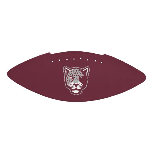 Texas A&M University - San Antonio | Jaguars American Football (Paneel)
