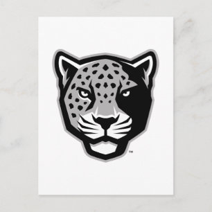 Texas A&M University - San Antonio   Jaguars Briefkaart
