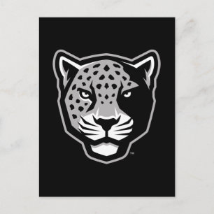Texas A&M University - San Antonio Jaguars Briefkaart