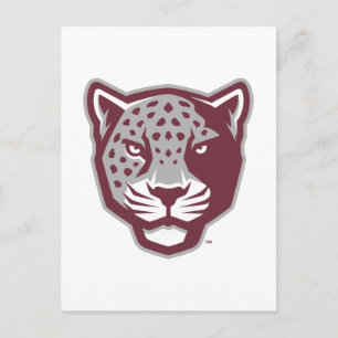 Texas A&M University - San Antonio Jaguars Briefkaart