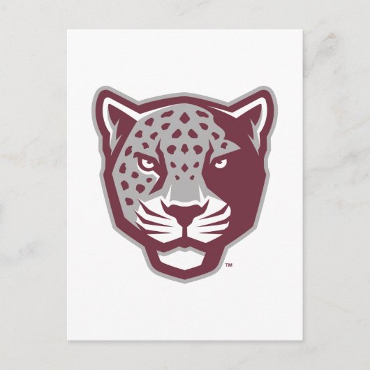 Texas A&M University - San Antonio | Jaguars Briefkaart (Voorkant)