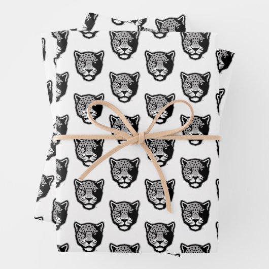 Texas A&M University - San Antonio | Jaguars Inpakpapier Vel (In situ)