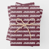 Texas A&M University - San Antonio Jaguars Inpakpapier Vel (In situ)