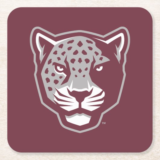 Texas A&M University - San Antonio | Jaguars Kartonnen Onderzetters (Voorkant)