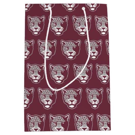 Texas A&M University - San Antonio | Jaguars Medium Cadeauzakje (Voorkant)